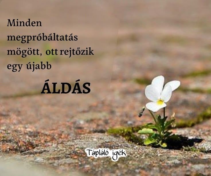 Debreceni Református Kollégium Dóczy Gimnáziuma